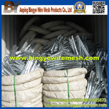 Hot-Dipped Concertina Razor Wire Fencing, Bto-22